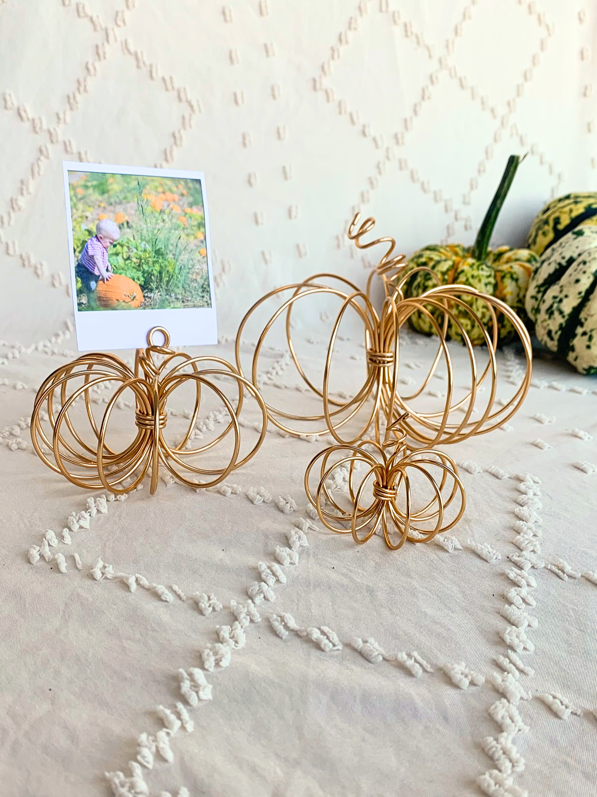 Trio of Wire Pumpkins: Handmade Halloween Decoration with Photo Holder The Wire Boutique